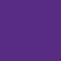 Pogo BPA 프리 트라이탄 플라스틱 물병 처그 뚜껑 포함 510.3ml(18온스) 그레이, 32oz, Purple, Purple, Purple