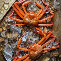 [당일조업] 동해안 박달홍게 찜 2kg (5-7마리/수율75내외)
