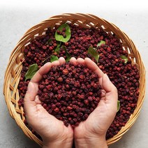 건오미자 500g, 1개, 상세설명 참조