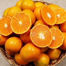 제주감귤 제주밀감 고당도 제주도 귤 5kg 10kg, 제주 감귤 로얄 3kg