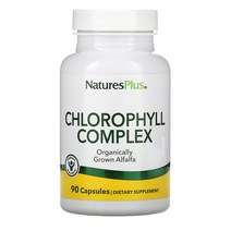 Natures Plus Chlorophyll 엽록소 복합 알파파 1개