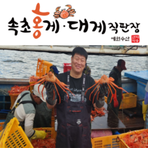 [속초 산지직송] 예원수산 제철홍게 생물 자숙(찜) 라면용 실속형 정품형 박달형 홍게택배, 1박스, 자숙 정품홍게(대) 3kg(5-6미)