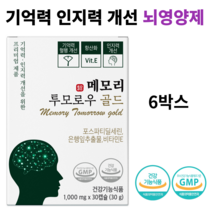 기억력 인지력개선을 위한 뇌건강 영양제 메모리 투모로우 골드 리뉴얼제품 이시형박사 포스파티딜세린 최대함량 은행잎 추출잎, 6박스, 6개