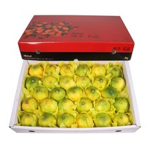 삼다몰 제주 황금향 3kg 5kg, 1박스, 황금향(중) 5kg(28~30과)