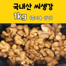 핫한 저장생강 인기 순위 TOP100 제품 추천