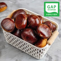 [GAP인증] 산지직송 충남 공주 정안 알밤 4kg(특), 단품