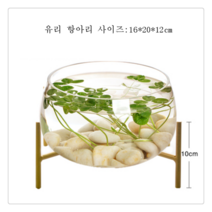 티피 창의 원형 유리 거북 어항 거실 미니 수경 식물항아리