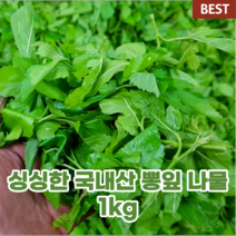 국내산 국산 생 뽕잎 나물 1kg 몸에 좋은 뽕잎 순 생 나물 당뇨에 좋은 음식 나물 혈당 제철 채소 야채