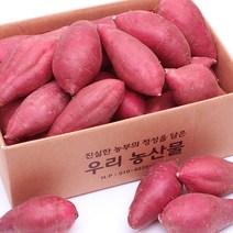 직거래농민장터 햇 고구마 퍽퍽달콤한 세척 꿀고구마, 세척 꿀고구마 10kg 특