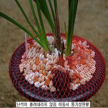 화분안전망 주황색안전망-7m, 주황색 7m