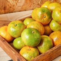 서귀포 제철 햇 감귤 4.5kg 소과 2S / 2개 구매시 10kg 발송, 상세페이지 참조, 상세페이지 참조, 상세페이지 참조