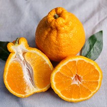 햇 한라봉 3kg 5kg 백화점납품용 (가정용/선물용) 제주도 서귀포 산지직송, 5kg 백화점납품 VIP 선물용 (고급 10-18과), 서귀포 햇 한라