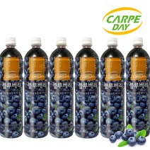 까르페 블루베리차 1000ml X 6개 액상 과일 음료 아이스티 원액, 1세트
