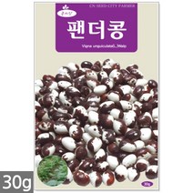 땅콩 씨앗 30g - 씨 땅콩씨앗 땅콩씨 콩씨앗 콩씨 견과류 주말농장 텃밭, 20_팬더콩(30g)