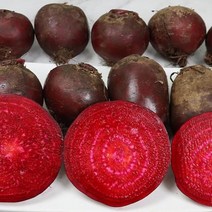 [장보리] 제주 햇 레드비트 상 3kg (10과 내외), 상세 설명 참조