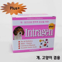 위wjr_인트라젠 플러스(plus+) 스틱 (2gx30p) 치와와영양제 애완용 개영양제 소형견 애견 고양이 용유산균 강아지종합 장건강♥hspirit, 나이스, ♥words!!, ♥words!!