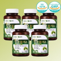 트리플 징코 플러스 10개월분 은행잎 추출물 아연 비타민B6 혈행개선 기억력개선, 단품, 단품
