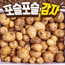 포슬포슬 강원도 감자 2kg / 2개 주문시 5kg발송 알감자 찜용 반찬용, 알 감자 중 2kg/2개 주문시 5kg발송