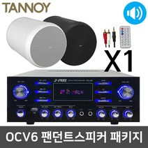 탄노이 OCV6 팬던트 천장형 감성주점 식당용 스피커 1