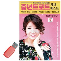 USB노래_ 중년트로트 정하나