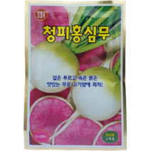 식물의집 청피홍심무 씨앗 청피홍심무 씨 홍심무씨앗 씨