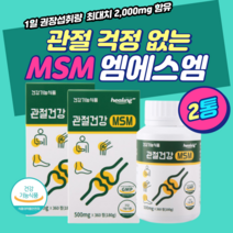 관절 비타민 건강기능식품 무릎 목 효과 엄마 아빠 X2 SHARK MSM 건기식 오른쪽 왼쪽 손 발 목 가락 마디 아플때 접질렀을때 턱 근육 척추 효과 섭취 먹는 영양 방법 시간