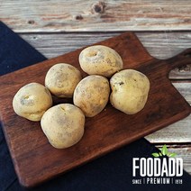 푸드에드 국내산 몽글몽그리 햇감자 1.6kg, 1개