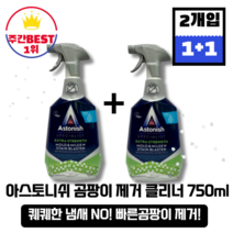 [본사정품][당일출고] 아스토니쉬 곰팡이 제거 클리너 750ml 2개 효과빠른 냄새 제거제 퀘퀘한 냄새 제거 곰팡이 포자제거 재발생 억제 살균 세척 악취제거 재발방지 살균효과, 2개입(750ml*2)