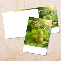 교회주보 예배 주보용지 3단6면 주보지 안내지 전도지 절기 부활절 추수감사 맥추감사 성탄절 신년감사 디자인 기독교용품, EW-31