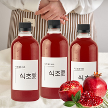 이로움라이프 자연발효 석류식초 500ml 핸드메이드 전통항아리숙성 수제과일식초 효능 먹는법 석류식초 500ml 1병