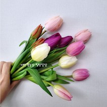 [필랑말랑] 튤립 생화 컬러믹스 10대 15대 꽃농장직배송 태안꽃농장 화훼농가돕기 농장직송꽃, 튤립: 컬러믹스15대