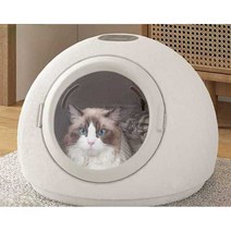 강아지드라이룸 강아지 고양이 털말리기 털 건조기, (800W)