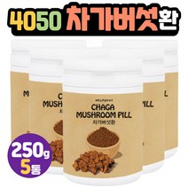 60대어르신간식 차가버섯환 뽕잎피나무분말 중년여성 20대 30대 대학원생 석사 연구원 탕비실 주전부리 40대 50대 관리직 사무직 선생 교수님 감사 인사 부모님 생신 선물