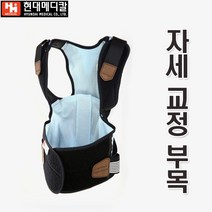 자세교정 부목 허리보호대 척추보호대 어깨보호대 조끼형 어깨교정 바른자세 튜빙밴드 허리부목 교정부목 허리벨트 병원 관공서 학교, M