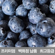 영화농산 영화청과 수입산 블루베리 500g 냉동 묘목 스무디 잼 주스 재배 즙기 키우기 농장 시세 종류 농원, 녹색, 상세페이지 별도표기