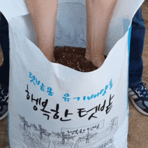 푸른텃밭세상 분갈이흙 베란다텃밭 옥상텃밭 상자텃밭 배양토 배합토 행복한 텃밭 20리터