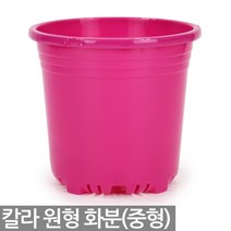 칼라 원형화분 - 플분 플라스틱 식물 화분 행잉화분 행긴화분 걸이화분 플라스틱화분 다육이 식물 공중걸이 공중화분 벽걸이 걸이분 행긴분, 08_세인_칼라 원형화분-중(핑크)