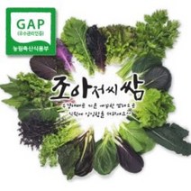 [조아쌈] GAP 모듬 쌈채소 샐러드 야채 당일 수확 당일배송, 쌈채소 모듬쌈 1Kg