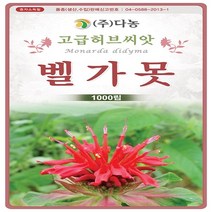벨가못/버가못/오스웨고티1000립