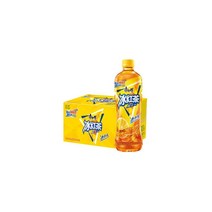 [현호] 중국식품 캉스푸 빙훙차 중국음료수 500ml, 500ml * 15병(1박스)