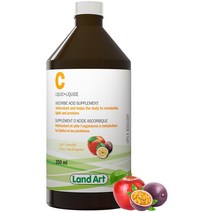 캐나다 비타민 C 보충제 베스트 셀러 Top, 45.랜드아트 비타민C 250ml