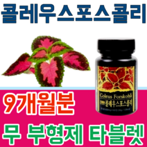 식품 안정선 검사 통과한 힐링 콜레우스 포스콜리 콜리우스 포스코리 간편하게 먹는 무 부형제 스테아린 마그네슘 이산화규소 없는 무첨가 타블렛 파는곳 추천, 9