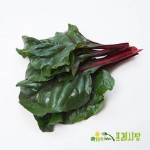 [프레시팜] 엽채류 쌈채소 적근대 2kg 내외, 1개