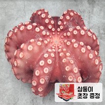 프레시퍼스트 제수용 자숙문어 1미 모리타니아 손질 데친 삶은 문어 삼둥이 초장 증정, c. 자숙문어 제수용1미 900g +삼둥이초장, 1개