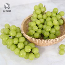 경북 김천 상주 고당도 샤인머스켓 1.5kg 2kg, 경북고당도샤인머스켓2kg2-3수, 1개