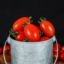 농부마음 [방울/대추 랜덤발송] 한입에 쏙 방울토마토 3kg(4-5번), 단품없음