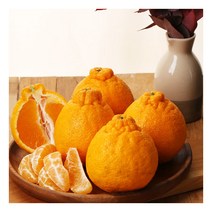 [햇살가득] 제주 햇 한라봉 3kg (9~14과내외), 1개, 상세 설명 참조