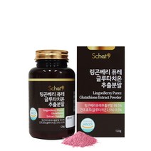 스캇나인 링곤베리 퓨레 글루타치온 추출분말 120g, 1개