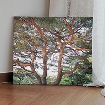 아트박스/꾸밈 bh250-캔버스액자53x45.5_높이솟은소나무