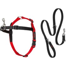 스톱 풀링 프론트 컨트롤 하네스 리드줄 포함 Halti Front Control Harness and Training Lead Combination Pack Stop Dog Pul, L
